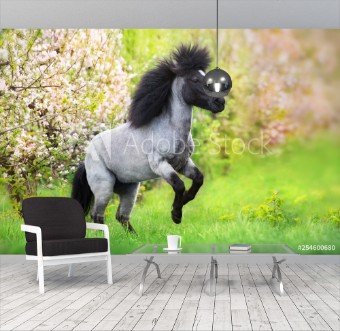 Picture of Pony rearing up in spring pink blossom trees